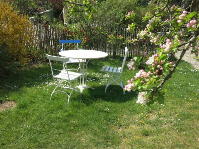 Holiday apartment Bienenkorb - Outdoor photo 8