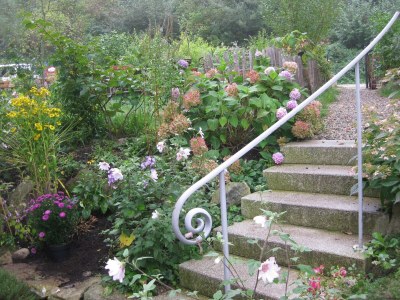 Holiday apartment Bienenkorb - Outdoor photo 11