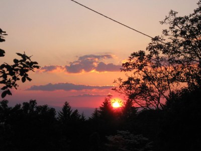 Holiday apartment Bienenkorb - Outdoor photo 13