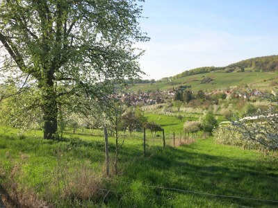 Holiday apartment Bienenkorb - Environment photo 31