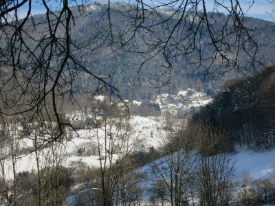 Holiday apartment Bienenkorb - Environment photo 32