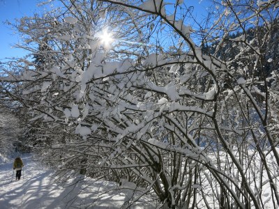 Holiday apartment Bienenkorb - Environment photo 33