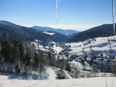 Holiday apartment Bienenkorb - Environment photo 35