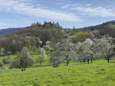 Holiday apartment Bienenkorb - Environment photo 36