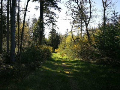 Holiday house 6 Personen Ferienhaus in Thisted-By Traum - Outdoor photo 7