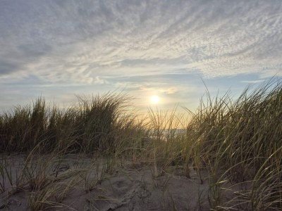 Holiday house 6 Personen Ferienhaus in Thisted-By Traum - Outdoor photo 11