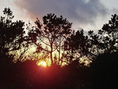 Holiday house 6 Personen Ferienhaus in Thisted-By Traum - Outdoor photo 13