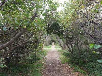 Holiday house 6 Personen Ferienhaus in Thisted-By Traum - Outdoor photo 32