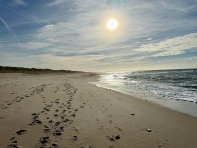 Holiday house 6 Personen Ferienhaus in Thisted-By Traum - Outdoor photo 34