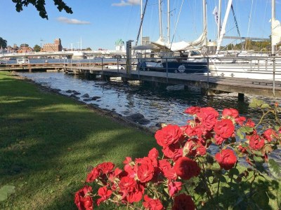 Holiday house 20 Personen Ferienhaus in Hasselberg - Outdoor photo 19
