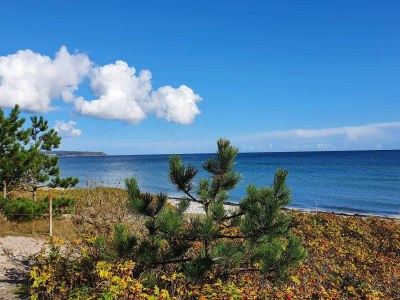 Holiday house 4 Personen Ferienhaus in Ebeltoft-By Traum - Outdoor photo 34