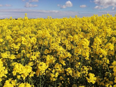 Holiday house 4 Personen Ferienhaus in Ebeltoft-By Traum - Outdoor photo 35