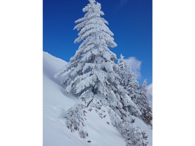 Chalet Tauern Chalets - Environment photo 18