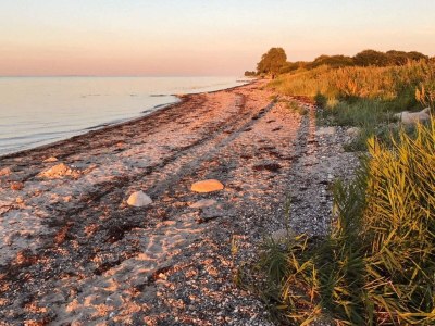 Holiday house 8 person holiday home in Nordborg-By Traum - Outdoor photo 24