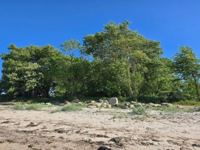 Holiday house 8 person holiday home in Nordborg-By Traum - Outdoor photo 35