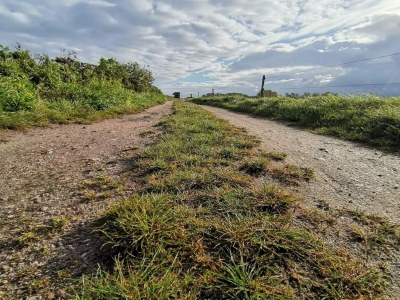 Holiday house 8 person holiday home in Nordborg-By Traum - Outdoor photo 36