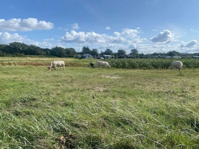 Holiday house 8 person holiday home in Nordborg-By Traum - Outdoor photo 37