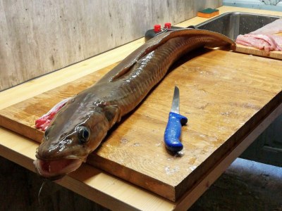 Holiday house 8 person holiday home in Masfjordnes-By Traum - Outdoor photo 22