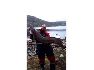 Holiday house 8 person holiday home in Masfjordnes-By Traum - Outdoor photo 55