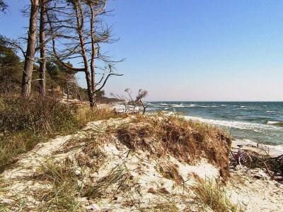Holiday house Seaside Serenity in Snogebaek - By Traum Ferienwohnungen - Outdoor photo 15