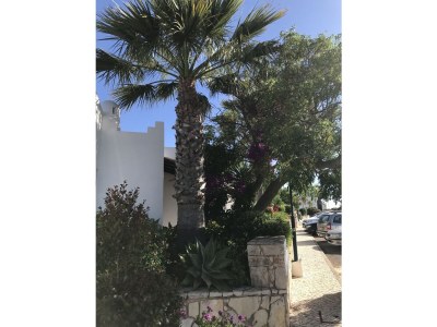 Holiday apartment Casa Bele - Outdoor photo 7