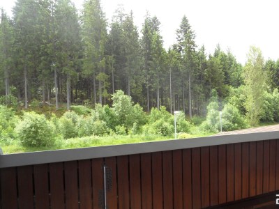 Holiday apartment Biermann - Outdoor photo 4