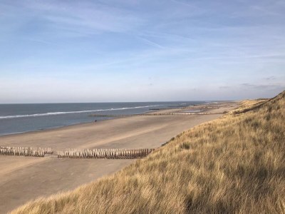 caravan Tiny House on wheels - Pipo Wagon - Environment photo 18