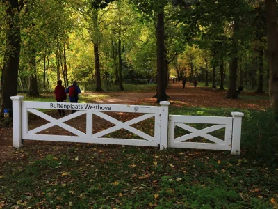 caravan Tiny House on wheels - Pipo Wagon - Environment photo 21