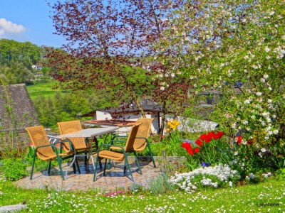 Holiday apartment Lahnhöhe - Outdoor photo 4