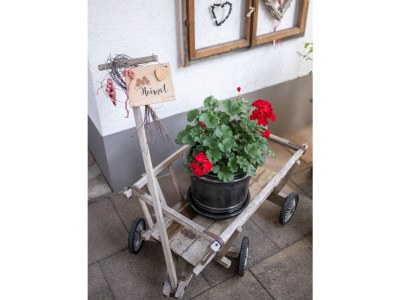 Holiday apartment Schwarzwaldliebe - Outdoor photo 9