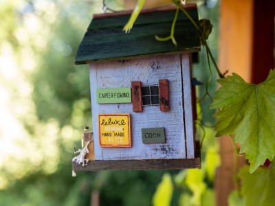 Holiday apartment Schwarzwaldliebe - Outdoor photo 12