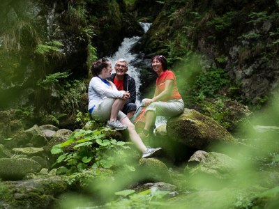 Holiday apartment Schwarzwaldliebe - Environment photo 21