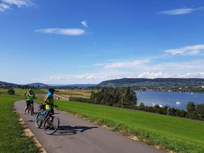 Holiday apartment Schwarzwaldliebe - Environment photo 25