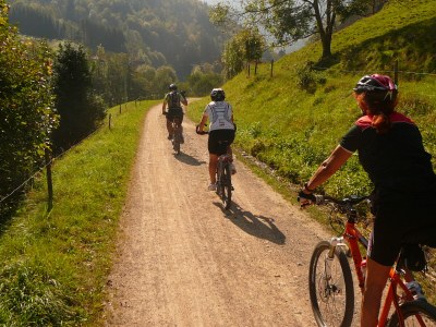 Holiday apartment Schwarzwaldliebe - Environment photo 30