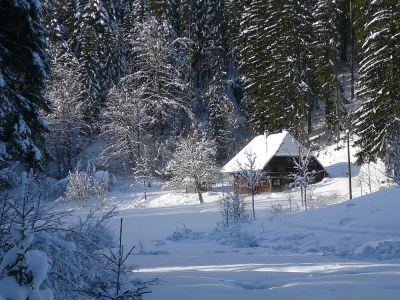 Holiday apartment Schwarzwaldliebe - Environment photo 32