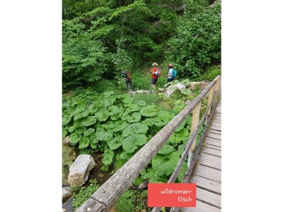 Holiday apartment Schwarzwaldliebe - Environment photo 39