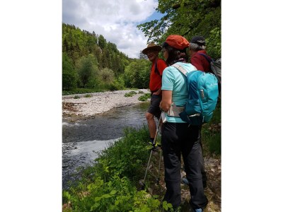 Holiday apartment Schwarzwaldliebe - Environment photo 40