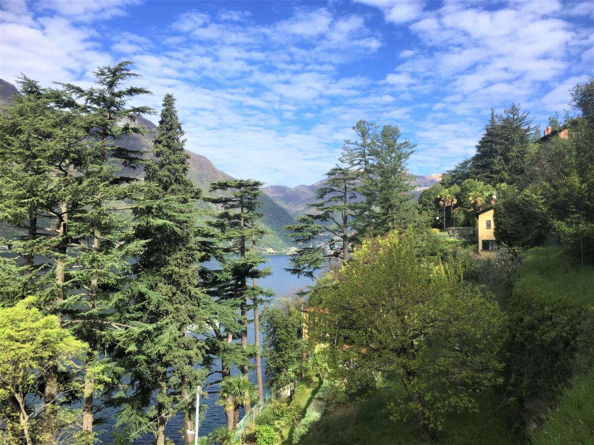 Apartment Lake Como: Villa Louisa Tivan - Outdoor photo 3