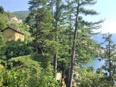 Apartment Lake Como: Villa Louisa Tivan - Outdoor photo 4