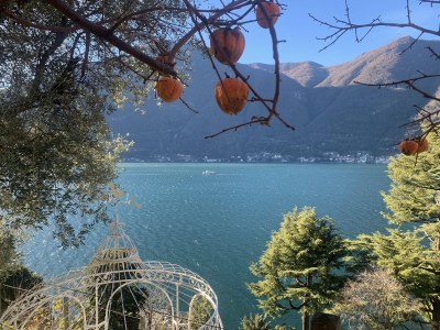 Apartment Lake Como: Villa Louisa Tivan - Outdoor photo 7