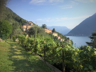 Apartment Lake Como: Villa Louisa Tivan - Outdoor photo 15
