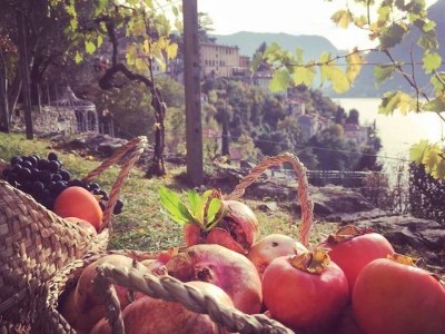 Apartment Lake Como: Villa Louisa Tivan - Outdoor photo 19