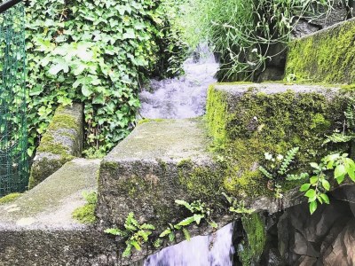 Apartment Lake Como: Villa Louisa Tivan - Outdoor photo 20