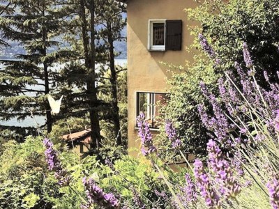 Apartment Lake Como: Villa Louisa Tivan - Outdoor photo 23