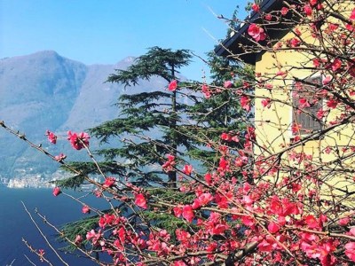 Apartment Lake Como: Villa Louisa Tivan - Outdoor photo 24