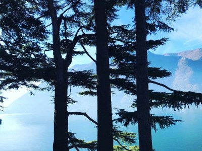 Apartment Lake Como: Villa Louisa Tivan - Outdoor photo 26