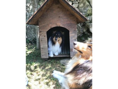 Apartment Lake Como: Villa Louisa Tivan - Outdoor photo 27