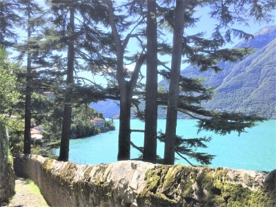 Apartment Lake Como: Villa Louisa Tivan - Environment photo 56