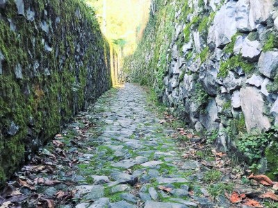 Apartment Lake Como: Villa Louisa Tivan - Environment photo 57