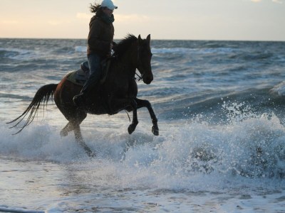Holiday house Ferienhaus in Brusow mit überdachter Terrasse - Environment photo 30